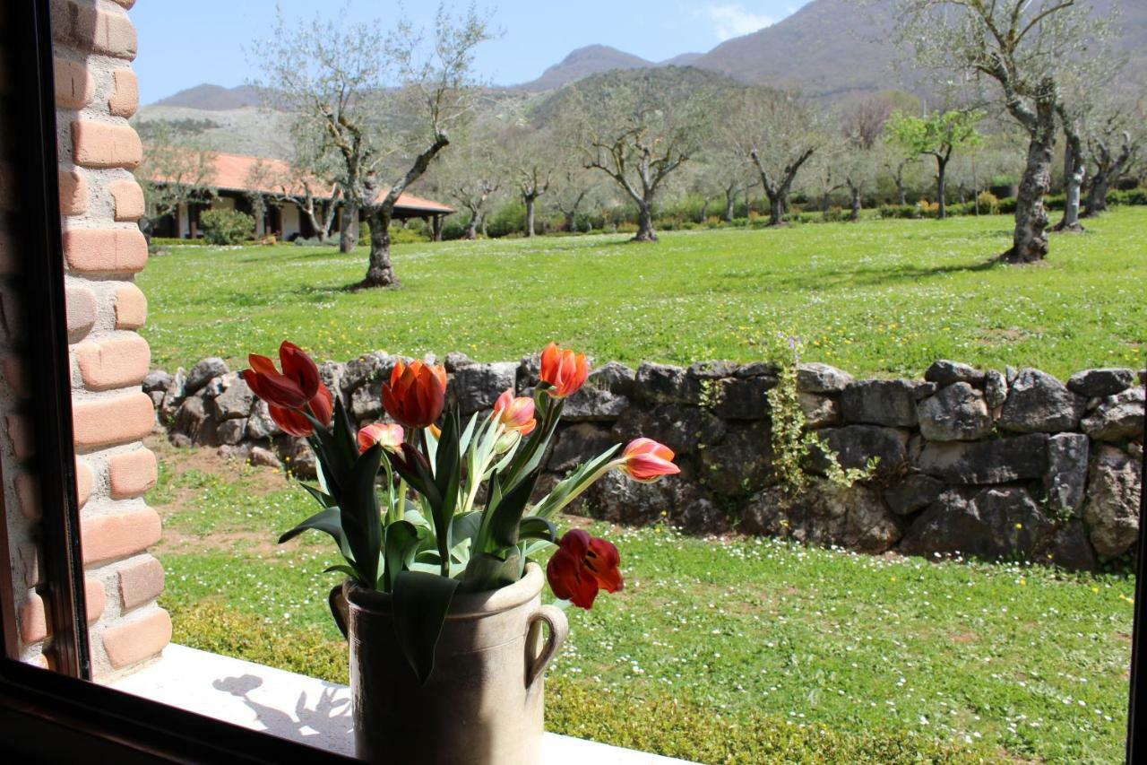 Agriturismo Il Castagneto Padula Exterior photo