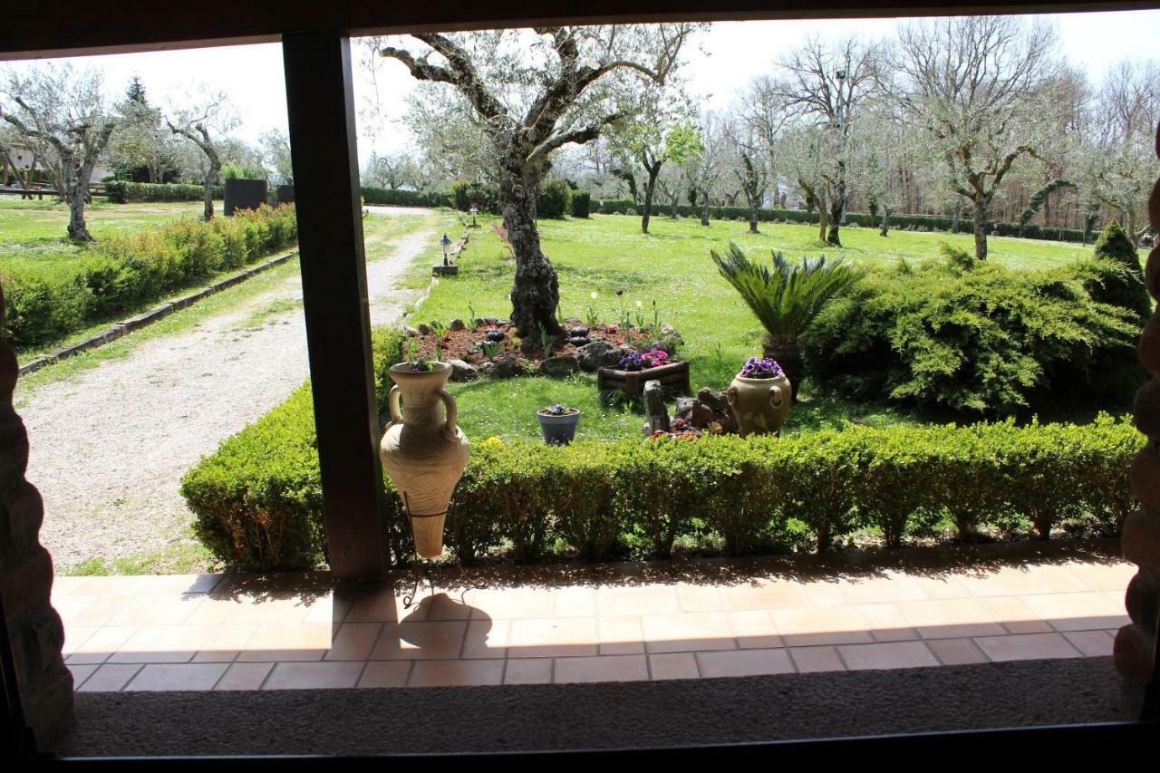 Agriturismo Il Castagneto Padula Exterior photo
