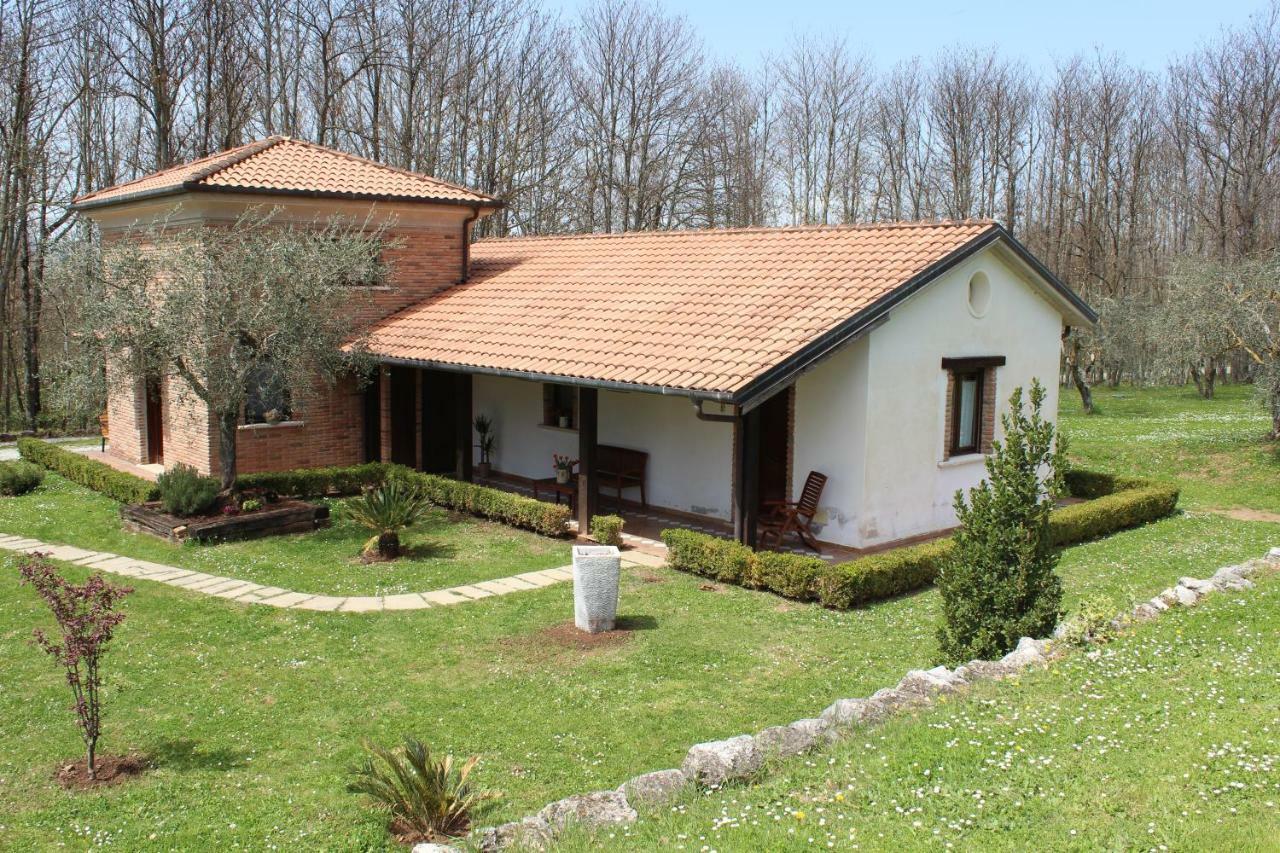Agriturismo Il Castagneto Padula Exterior photo