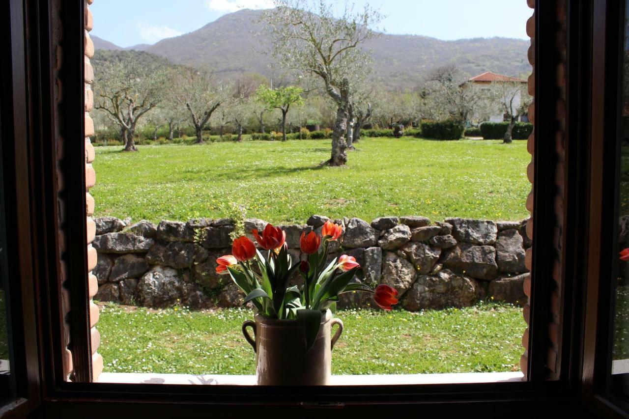 Agriturismo Il Castagneto Padula Exterior photo